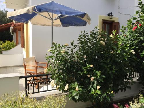 شرفة/ تراس, Livanina apartments in Kampos Marathokampou
