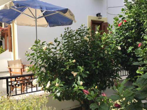 شرفة/ تراس, Livanina apartments in Kampos Marathokampou