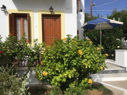 Livanina apartments - Samos