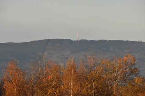 Penzion Na Kopečku (Penzion Na Kopecku) in 흘루보카 나드 블타보우 시내