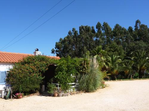  BLUE LAR in Santa Bárbara