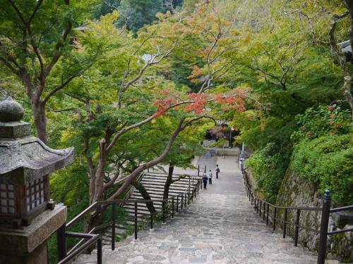 Nearby attraction, Ryokan Itaniya in Sakurai