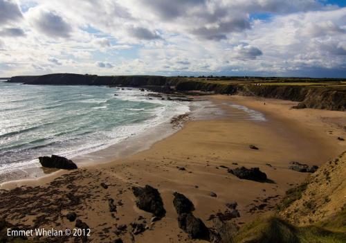 สภาพแวดล้อมโดยรอบ, Coral Gables Guesthouse & Campsite in รอสส์เลร์