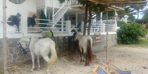 Khao Tao Beach Lodge Old Siam