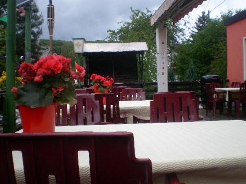 Hotel An der Sauer - image 7