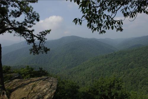 Black Forest Bed & Breakfast - 주변 환경