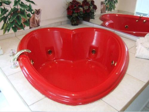 المرافق, Black Forest Bed & Breakfast in هيلين - جورجيا