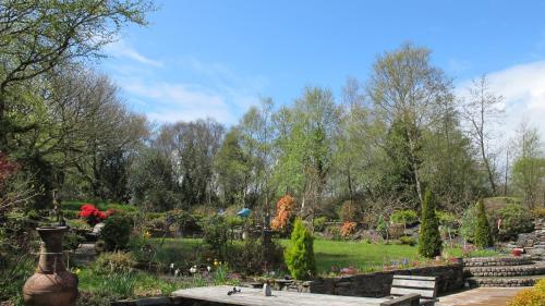 Five Oaks - image 4