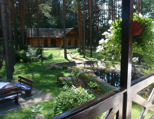 Przystanek Zofiówka (Przystanek Zofiowka) in Niwiska