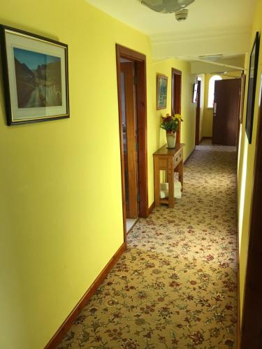 Előcsarnok, Pisgah Guesthouse Snowdonia in Blaenau-Ffestiniog