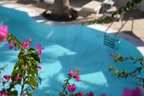 アリオン ベイ ホテル