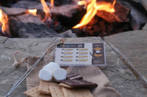 Explorer Cabins at Yellowstone - image 12