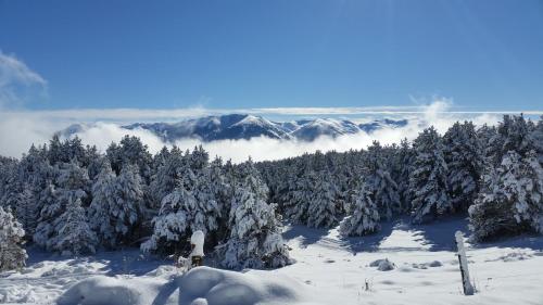Le Renne Blanc Pyrénées de France Le Renne Blanc Pyrénées de France