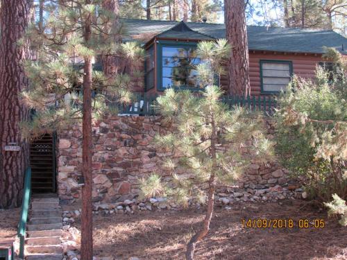 Apple Bear Cabin