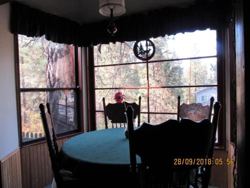 Apple Bear Cabin - image 5