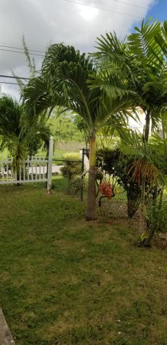 

Cynson Villa Holiday Accomodations