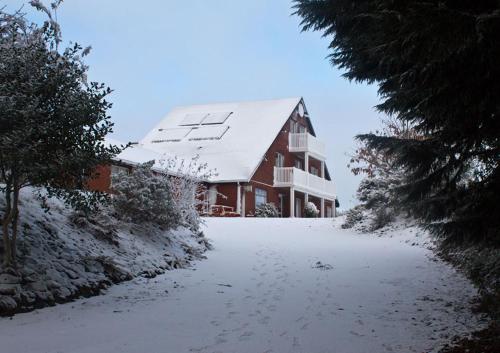 Coral Gables Guesthouse & Campervans - image 4