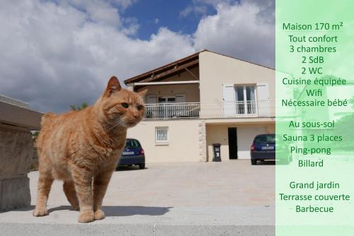 3 bedrooms, 6 beds