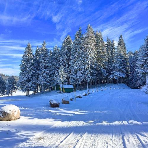 Romantica Forest Holiday Village - image 7