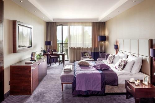 Senior Suite