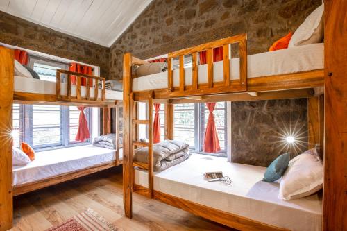 Bed in 8-Bed Mixed Dormitory Room room in Zostel Kodaikanal