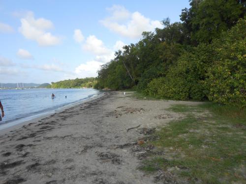 Entre Mer et Verdure 3