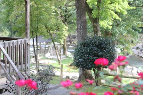 The Evening Shade River Lodge and Cabins