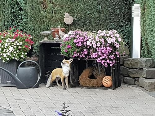 Dachgeschoss35, Witten (foto 2)
