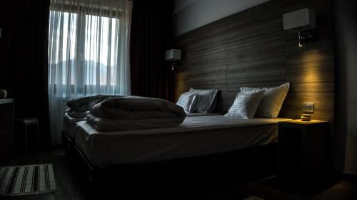 Pensiunea Negoiu - main image