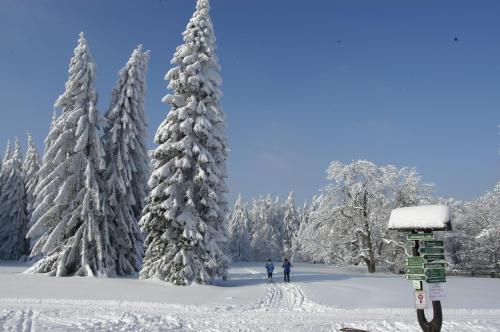 Tanzbuche - image 7