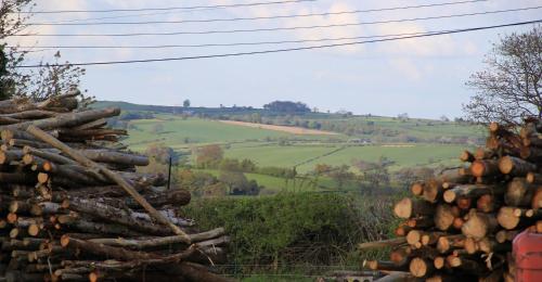 Poplars Farm Site - image 12