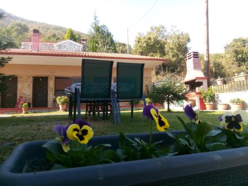 Guesthouse Mythos - image 3