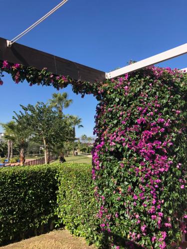  C/Azalea Jardines 1, J51 (Downstairs 3 Bedroom) in 30856 El Romero
