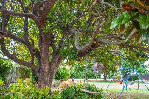 The Pier Lodge Bed And Breakfast - Photo 2