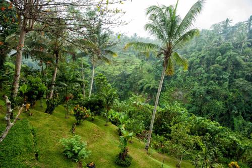 Beji Ubud Resort