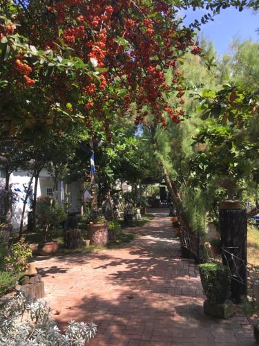 Lan People Villa in Район Кіду