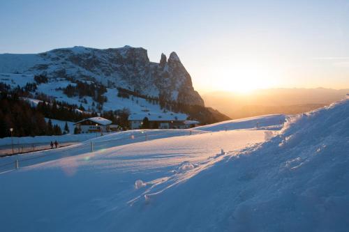 Seiser Alm Plaza - image 12