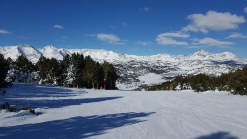 Le Renne Blanc Pyrénées de France Le Renne Blanc Pyrénées de France
