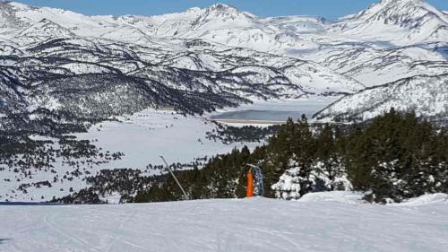 Le Renne Blanc Pyrénées de France Le Renne Blanc Pyrénées de France