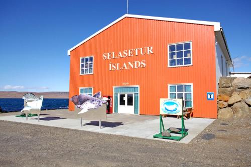 Programlehetőségek, ALBERT Guesthouse in Hvammstangi