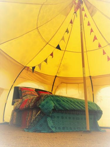 Loire Valley Llama Farm Stay