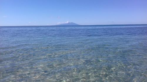 Palm View, Laborie (foto 3)