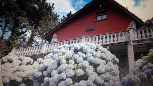 Villa Alejandra - Artedo