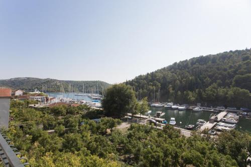  Apartments Dino Formenti in Skradin