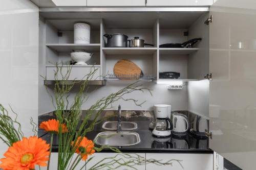 Athens Flower Apartment, Atény (fotografie 4)