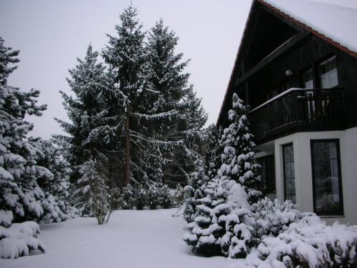 Conifer Cottage IdyllicPrague