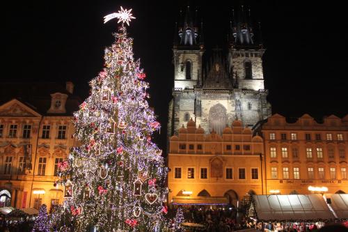 Conifer Cottage IdyllicPrague photo 3