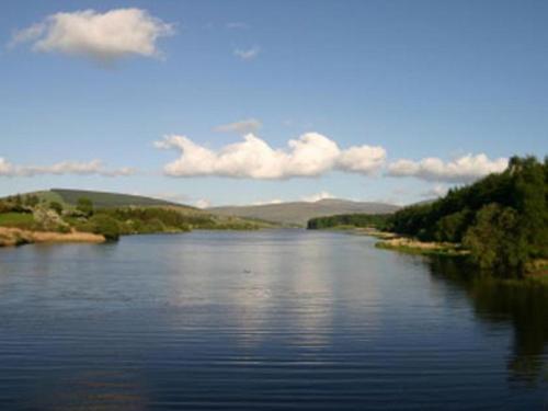 Tulfarris Hotel and Golf Resort - main image