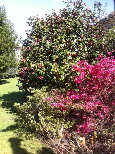 T1 ou T2 dans villa avec jardin proche Biarritz