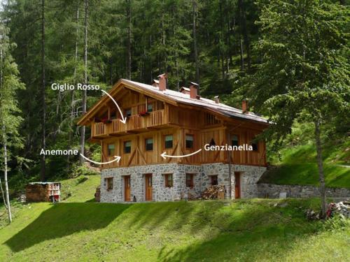 Mas De La Bolp - Chalet in Rabi